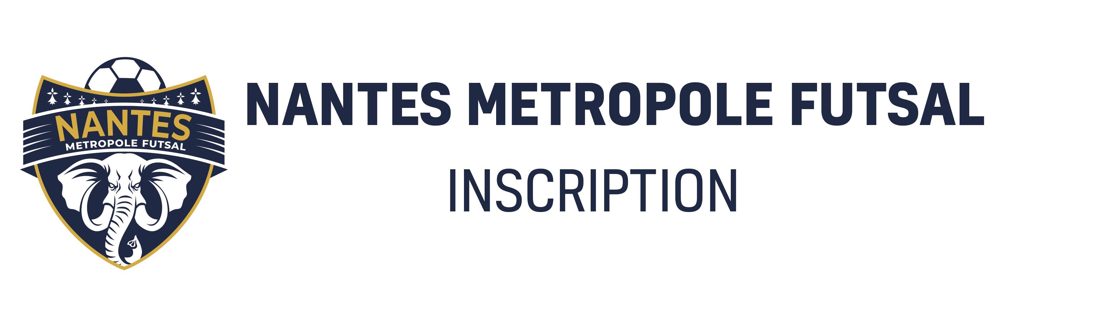 Nantes Métropole Futsal